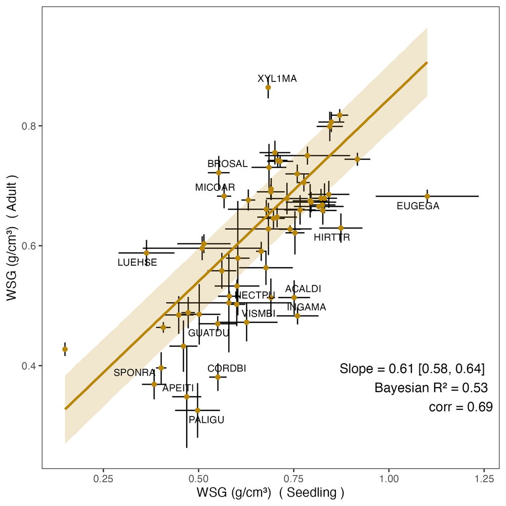 Wood density is correlated between seedlings and adults